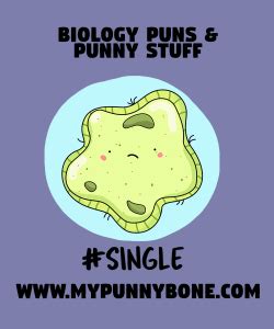 115+ Biology Puns And Jokes That Are So Humerus - MyPunnyBone