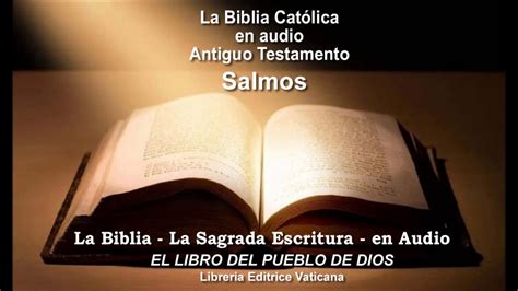 Peaje Chaleco carrera eclesiastes 3 1 9 biblia catolica Púrpura Clasificación Ten cuidado