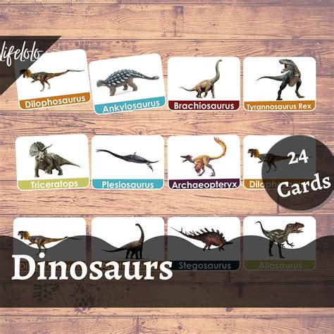 Dinosaurs - 24 Flash Cards | Nomenclature Cards | Montessori Materials | Three Part Cards ...