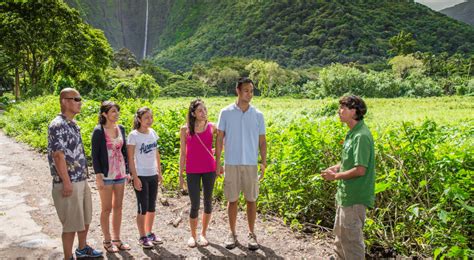 Big Island Waterfall Tour: Waipio Valley Waterfall Tours | Wasabi Tours ...