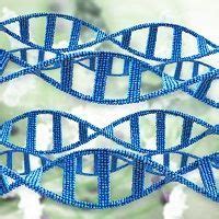 Stem Cells Better Than Mitoxantrone for Multiple Sclerosis Treatment