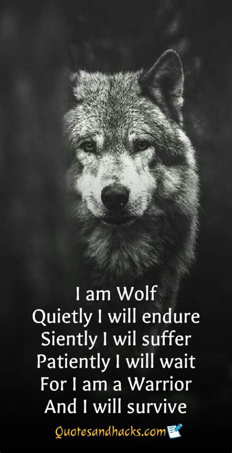 30 Lone wolf quotes that will trigger your mind - Quotes and Hacks