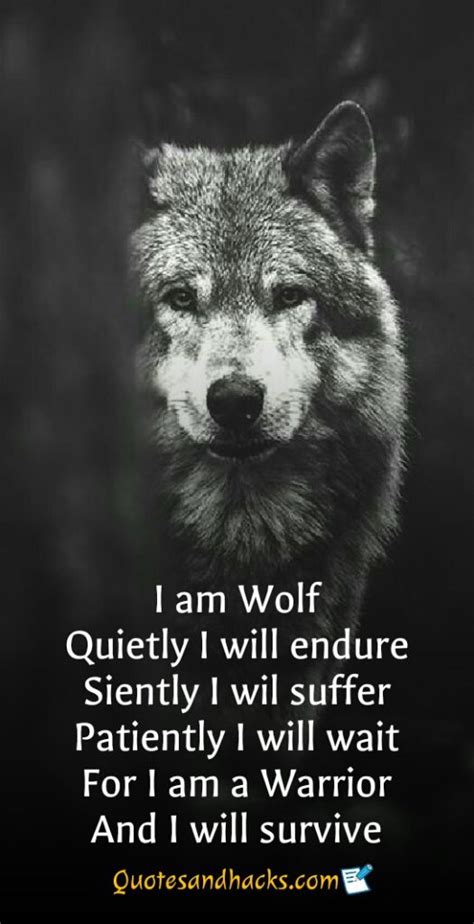 30 Lone wolf quotes that will trigger your mind