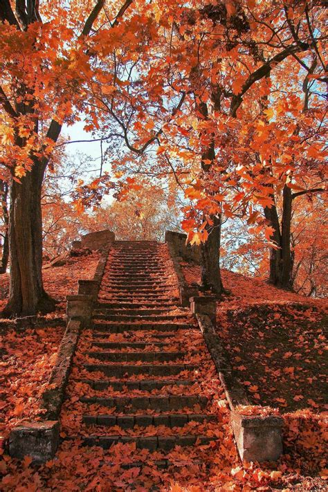 15 Selected autumn wallpaper aesthetic pinterest You Can Get It Free Of Charge - Aesthetic Arena