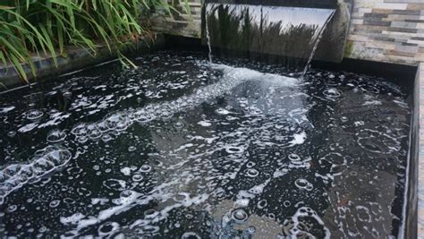 7 Great Ways to Get Rid of Pond Foam Naturally - My Backyard Life