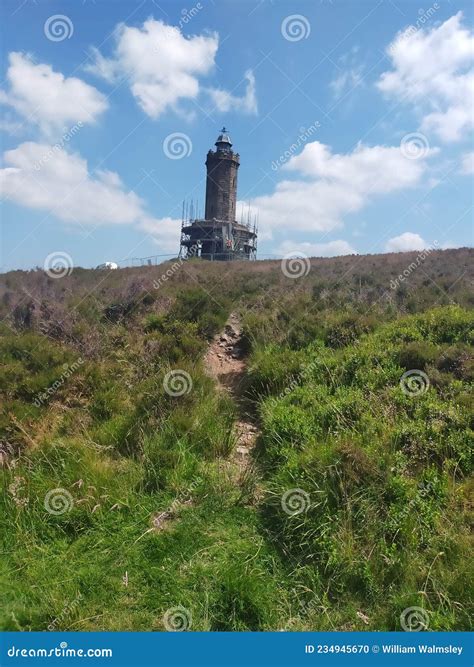 Build a rocket boy stock photo. Image of building, plant - 234945670