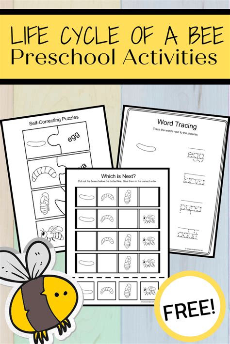 4 Life Cycle of a Bee for Kids Activity Pages