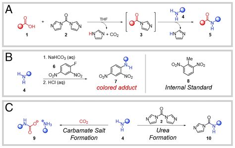 Predicting relative efficiency of amide bond formation using multivariate linear regression | PNAS