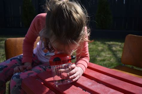 3 Backyard Science Activities! - Learning Resources Blog | Science activities, Science for kids ...