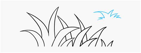 Vegetation Drawing Grassland - Easy Way To Draw Grass, HD Png Download , Transparent Png Image ...