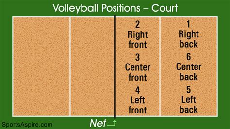 Volleyball Player Positions