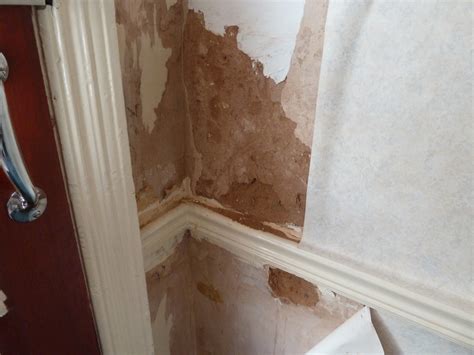 How can I repair severly water-damaged interior wall plaster or sheetrock? - Home Improvement ...