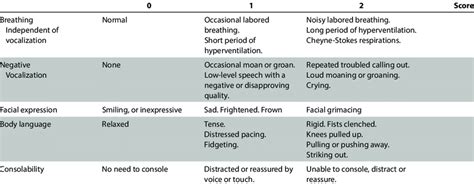 Pain Scale For Dementia