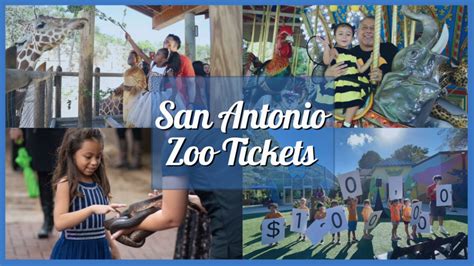 San Antonio Zoo Tickets, Hours, Exhibits, Attractions, More!