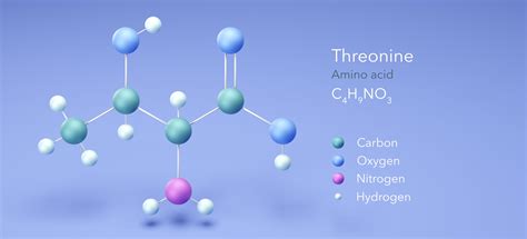 4 Must-Have Benefits Of Threonine