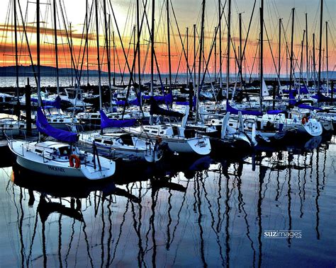 Lake City Marina Photograph by Susie Loechler | Fine Art America