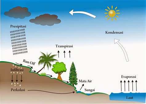 Proses Pada Siklus Air - IMAGESEE