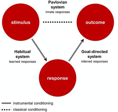 Discovery that the neural mechanisms underlying social and personal ...