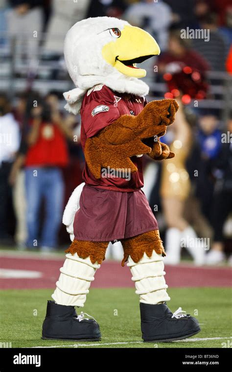 Boston College Eagles mascot on the field at Alumni Stadium, Chestnut Hill, Massachusetts ...