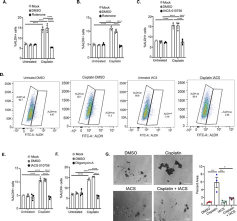 Mitochondrial OXPHOS inhibitors in combination with cisplatin block the ...