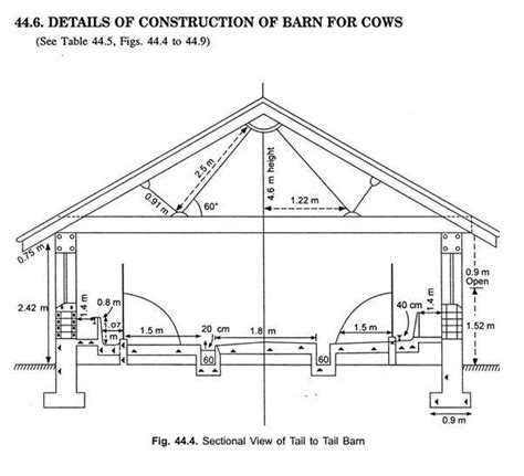 Dairy Cattle Housing Design | Cattle housing, Cow shed design, Dairy cattle