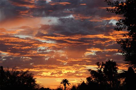 Phoenix sunrise this morning : r/phoenix