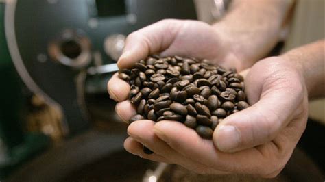 Coffee prices on the rise after drought in Brazil - ABC7 Chicago