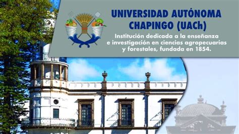 Registro convocatoria Universidad Autónoma de Chapingo 2023. Aquí lo puedes hacer – Unión EDOMEX