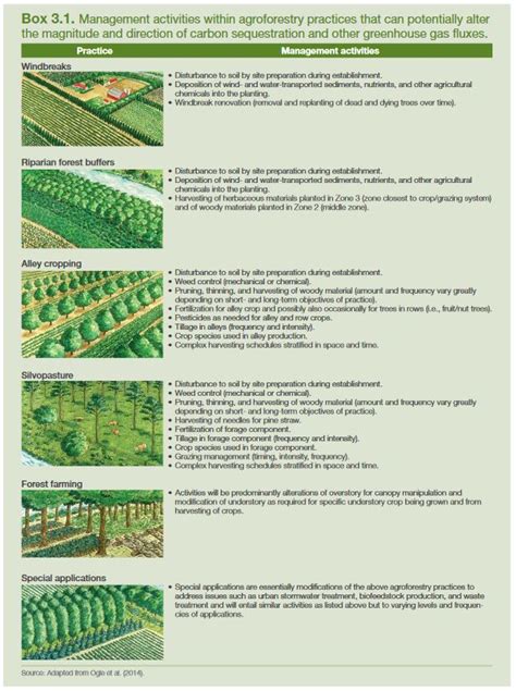 Agroforestry | Tannenbaum Design Group