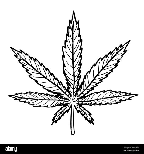 Marijuana leaf drawing. Simple hemp symbol vector Stock Vector Image ...