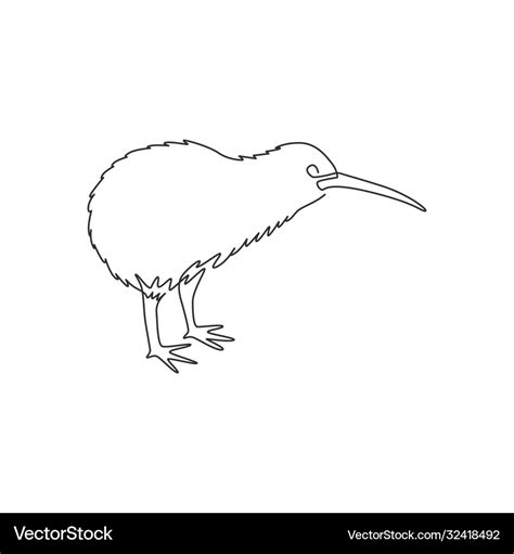 Kiwi Bird Drawing Outline