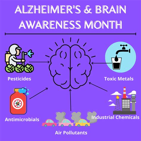 The Link Between Environmental Factors and Alzheimer’s Disease - Women ...