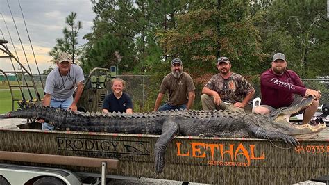 This 14-foot alligator may be the biggest one ever caught in Georgia - CNN