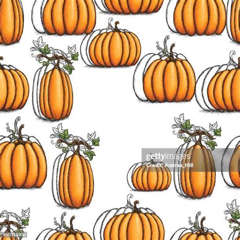 200 Pumpkin Vine Drawing Stock Photos, High-Res Pictures, and Images ...