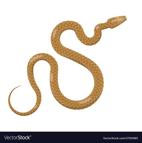 Slither brown python snake top view icon Vector Image