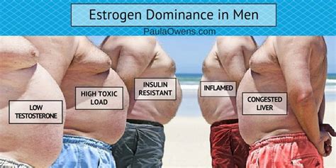 Estrogen Dominance in Men - Paula Owens