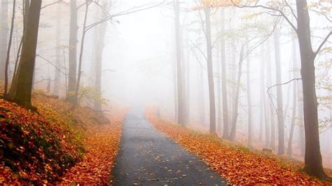 18 Best Places to See Fall Foliage in Maryland (Updated for 2022) - Deyewa