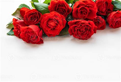 Red roses on white background 4954664 Stock Photo at Vecteezy