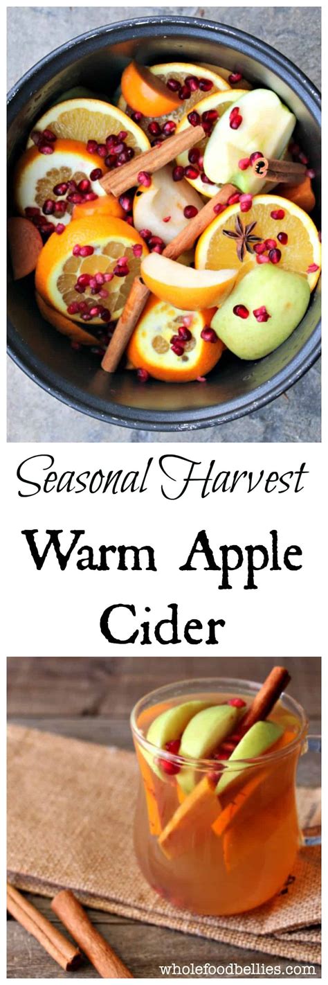 Homemade Fall Harvest Hot Apple Cider