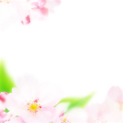 Pink Romantic PNG Transparent, Pink Romantic Flower Border, Spring ...
