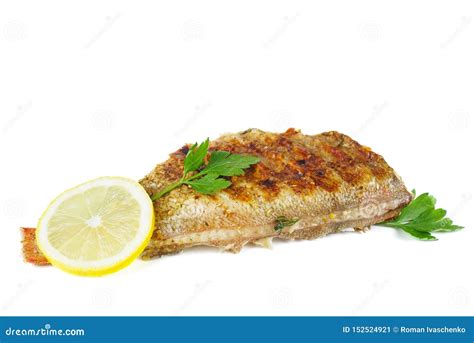 Grilled red perch fish stock image. Image of background - 152524921