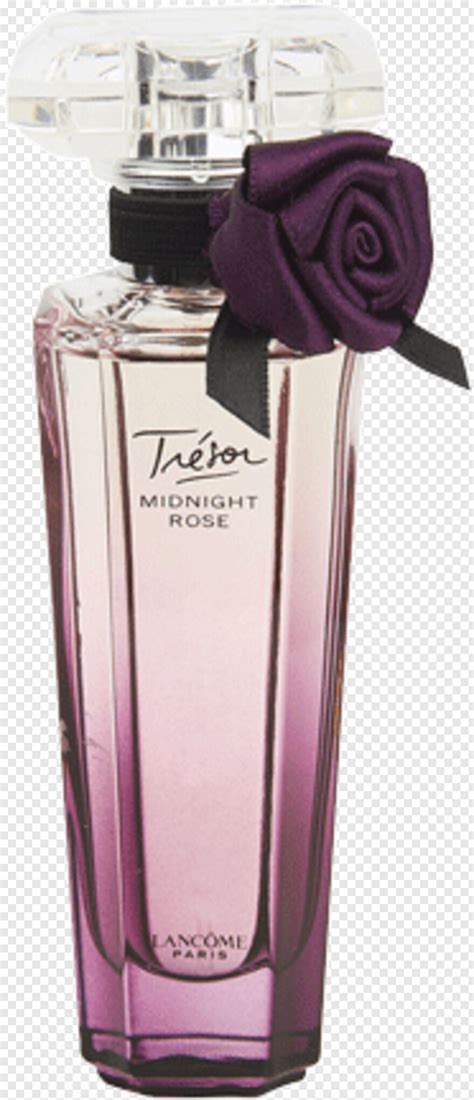 Lancome Logo - Lancome Tresor Midnight Rose Eau De Parfum Spray -, Png Download - 186x432 ...