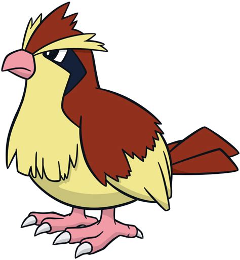 Pidgey official artwork gallery | Pokémon Database