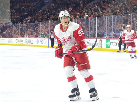 Tyler Bertuzzi: Bio, Stats, News & More - The Hockey Writers