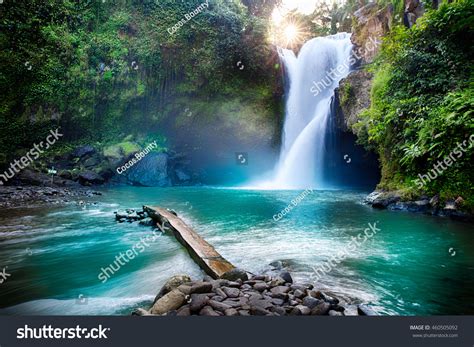 Waterfall Hidden Tropical Jungle Stock Photo 460505092 | Shutterstock