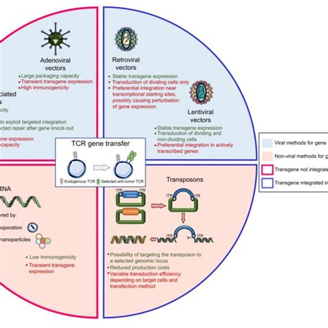 | The landscape of gene delivery methods. The genetic transfer of an ...