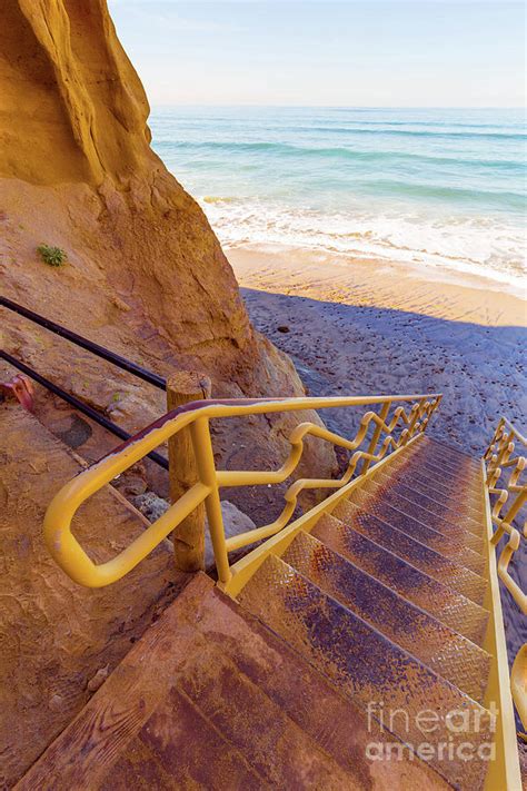 Beach Trail Torrey Pines State Park Photograph by Edward Fielding