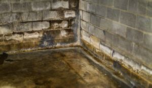 The Cost of Ignoring Basement Leaks: Why Investing in Waterproofing is a Wise Decision - Vulcan ...