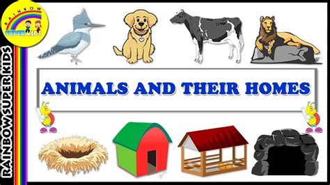 animal home clipart 10 free Cliparts | Download images on Clipground 2024