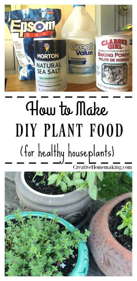 How to Make Homemade Plant Food - Creative Homemaking